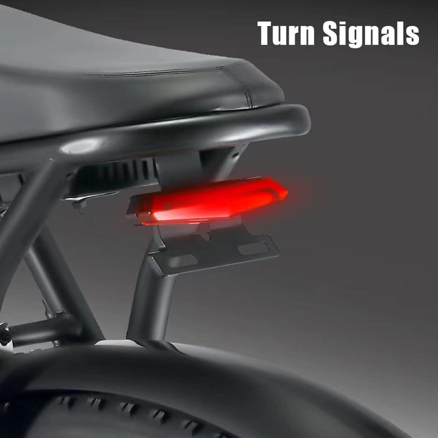 Conquering All Terrains Together: Our Take on the V8 E-Bike